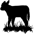 (image for) Cow 16 =