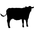 (image for) Cow 26 _