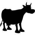 (image for) Cow 6a =