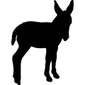 (image for) Donkey 1 _