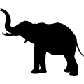 (image for) Elephant 17 =