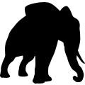 (image for) Elephant 4 _