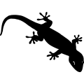 (image for) Gecko 3 =