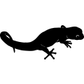 (image for) Gecko =