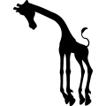 (image for) Giraffe 6 =