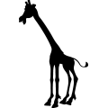 (image for) Giraffe 7 =