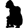 (image for) Gorilla 15 =