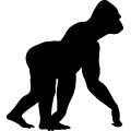 (image for) Gorilla 2 =