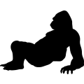 (image for) Gorilla 7 _