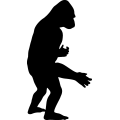 (image for) Gorilla 8 =
