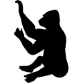 (image for) Gorilla 9 =