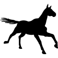 (image for) Horse 69 _
