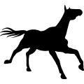 (image for) Horse 70 _