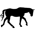 (image for) Horse 71 =