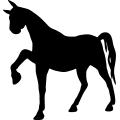 (image for) Horse 73 =