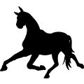 (image for) Horse 74 =