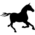 (image for) Horse 75 =