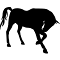 (image for) Horse 77 =