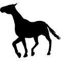 (image for) Horse 78 _
