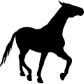 (image for) Horse 79 _