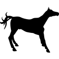 (image for) Horse 82 =