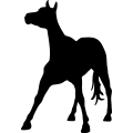 (image for) Horse 83 _