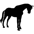 (image for) Horse 84 =