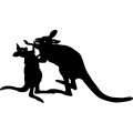 (image for) Kangaroo 2 =