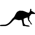 (image for) Kangaroo 3 _