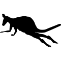 (image for) Kangaroo 4 _