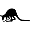 (image for) Kangaroo 5 =