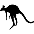 (image for) Kangaroo 6 _