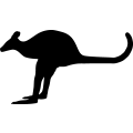 (image for) Kangaroo 7 =