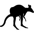 (image for) Kangaroo 8 _