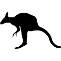 (image for) Kangaroo 9 _