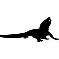 (image for) Komodo Dragon 2 _