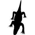 (image for) Komodo Dragon 4 _