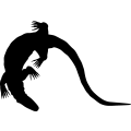 (image for) Komodo Dragon 5 _