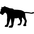 (image for) Panther 1a _