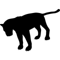 (image for) Panther 2a _