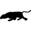 (image for) Panther 8 _