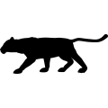 (image for) Panther 9 _
