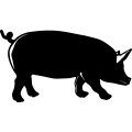 (image for) Pig 12 =