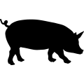 (image for) Pig 12a _