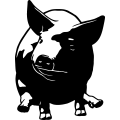 (image for) Pig 5 =