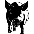 (image for) Pig 8 =