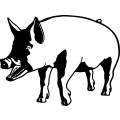 (image for) Pig 9 =