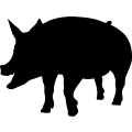(image for) Pig 9a _