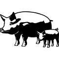 (image for) Pigs 1 =
