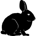 (image for) Rabbit 1 =